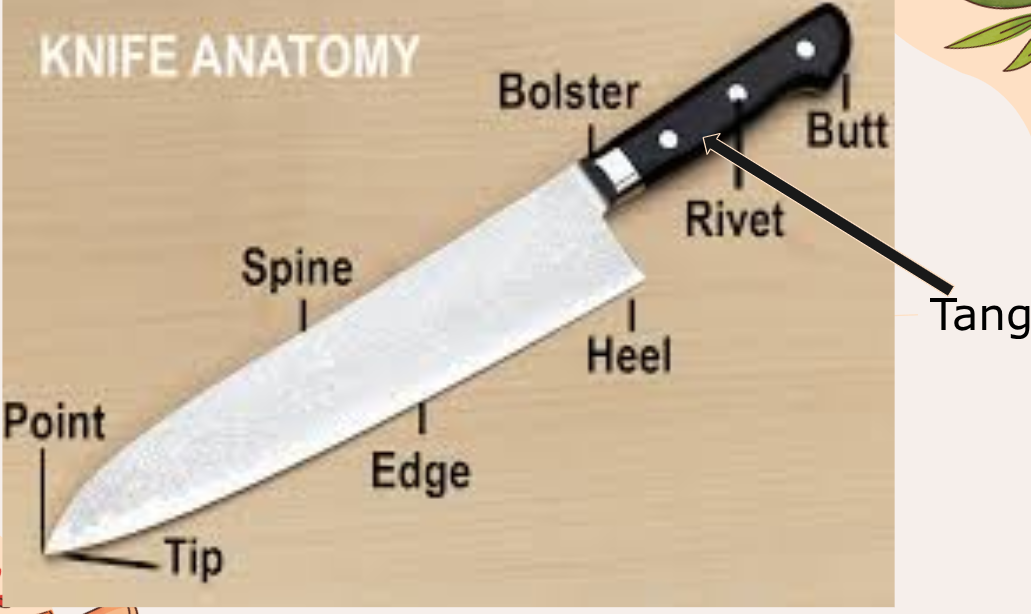 <p>Knife Anatomy</p>