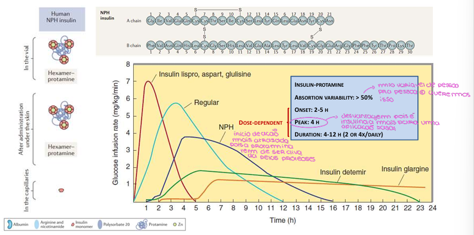 <p>Insulina NPH ou Isofana</p>