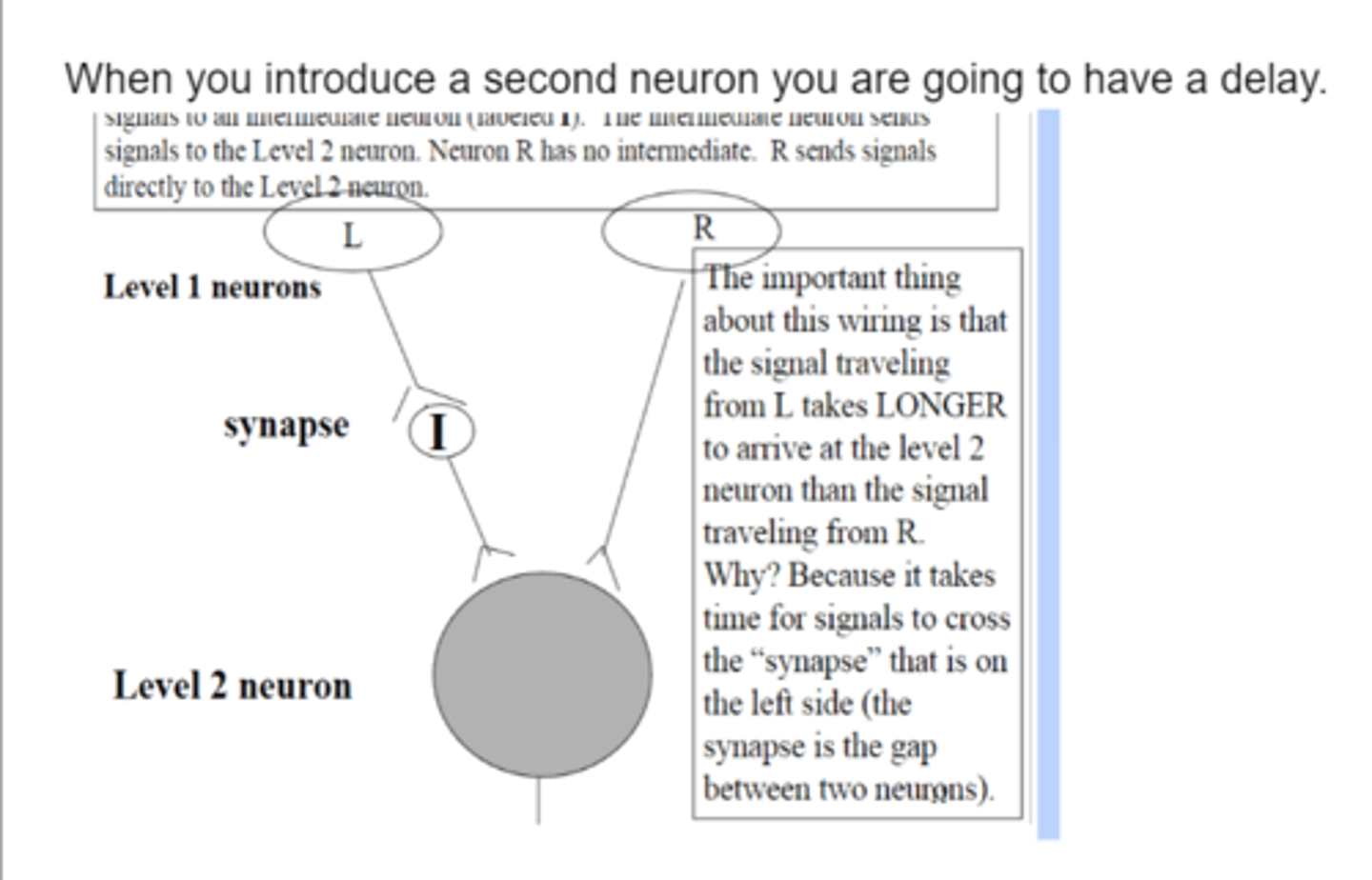 <p>The motion detector cells respond on the basis of the direction of motion and the direction of the motion affects the firing rate of the neurons. A study was done on primates to see how motion would affect their neuron's response. Primates have a neuron called MT and it is loaded with motion detectors. Research found that these neurons preferred motion in one direction and the detectors can only respond if one direction gives off more of a signal than the other(a difference in the firing rate of L and R). These neurons prefer a stimulus moving from left to right due to a delay in the pathway of L, so the stimulus will hit the level 2 neuron at the same time as when the R pathway hits the level 2 neuron. These motion detectors help us organize sensory input from our environment so we can navigate through safely.</p>