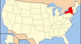 <p>What colony is this?</p>