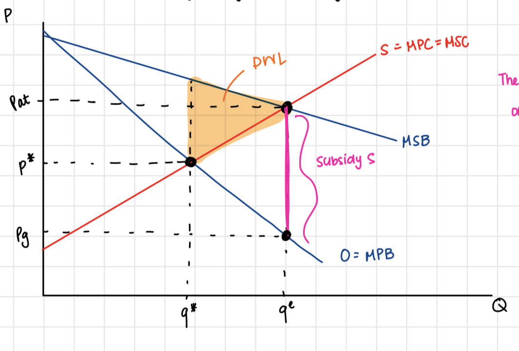 <p>A payment per unit to <strong>reward</strong> activities with <strong>positive externalities</strong></p><p>Where MSB= MSC</p><p>Marginal Social Benefit equals Marginal Social Cost</p>