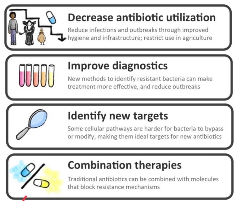 <p>Completing prescribed courses, avoiding inappropriate use for viral infections, implementing combination therapies to prevent resistance emergence, and developing new targets and resistance-blocking molecules.</p>