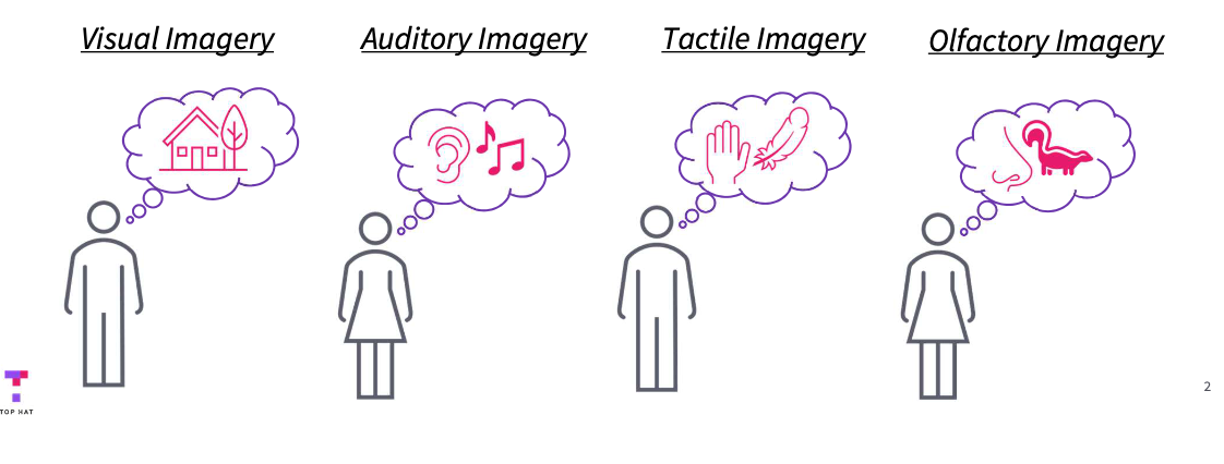 <ul><li><p>Our ability to mentally recreate perceptual experience in the absence of a sensory stimulus.”</p></li><li><p>You can also create mental images of stimuli that you have never experienced.</p><ul><li><p>e.g “‘Imagine a sidewalk covered in chocolate sauce.</p></li></ul></li></ul><p></p>