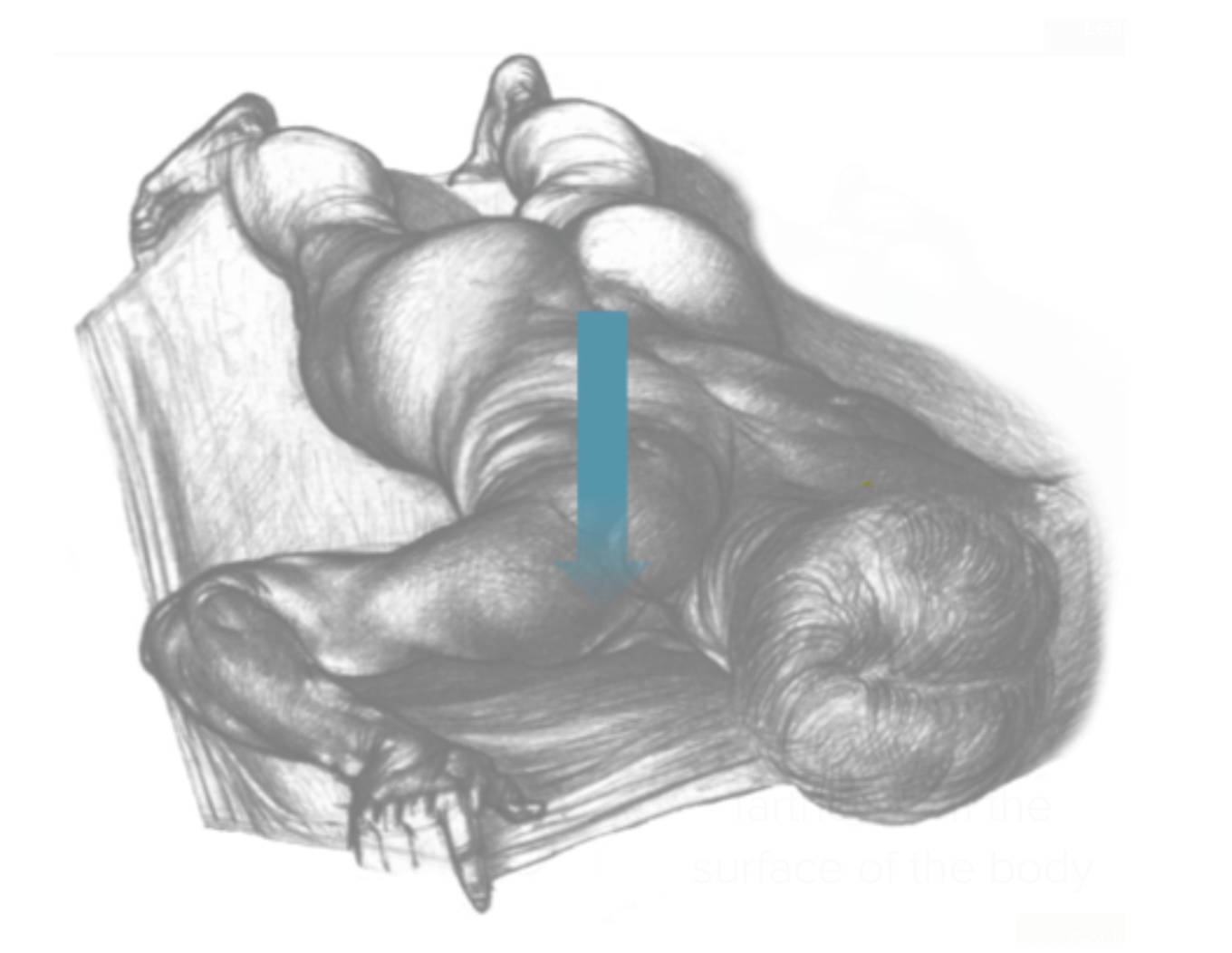 <p><strong>Deep </strong>means farther away from the body's surface </p>