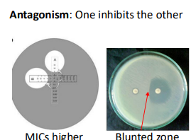 <p>one inhibits the other</p>