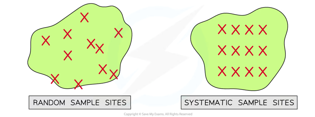 <p>positions of sampling points completely random/due to chance and is beneficial because no bias on part of person carrying out sampling that may affect results</p>