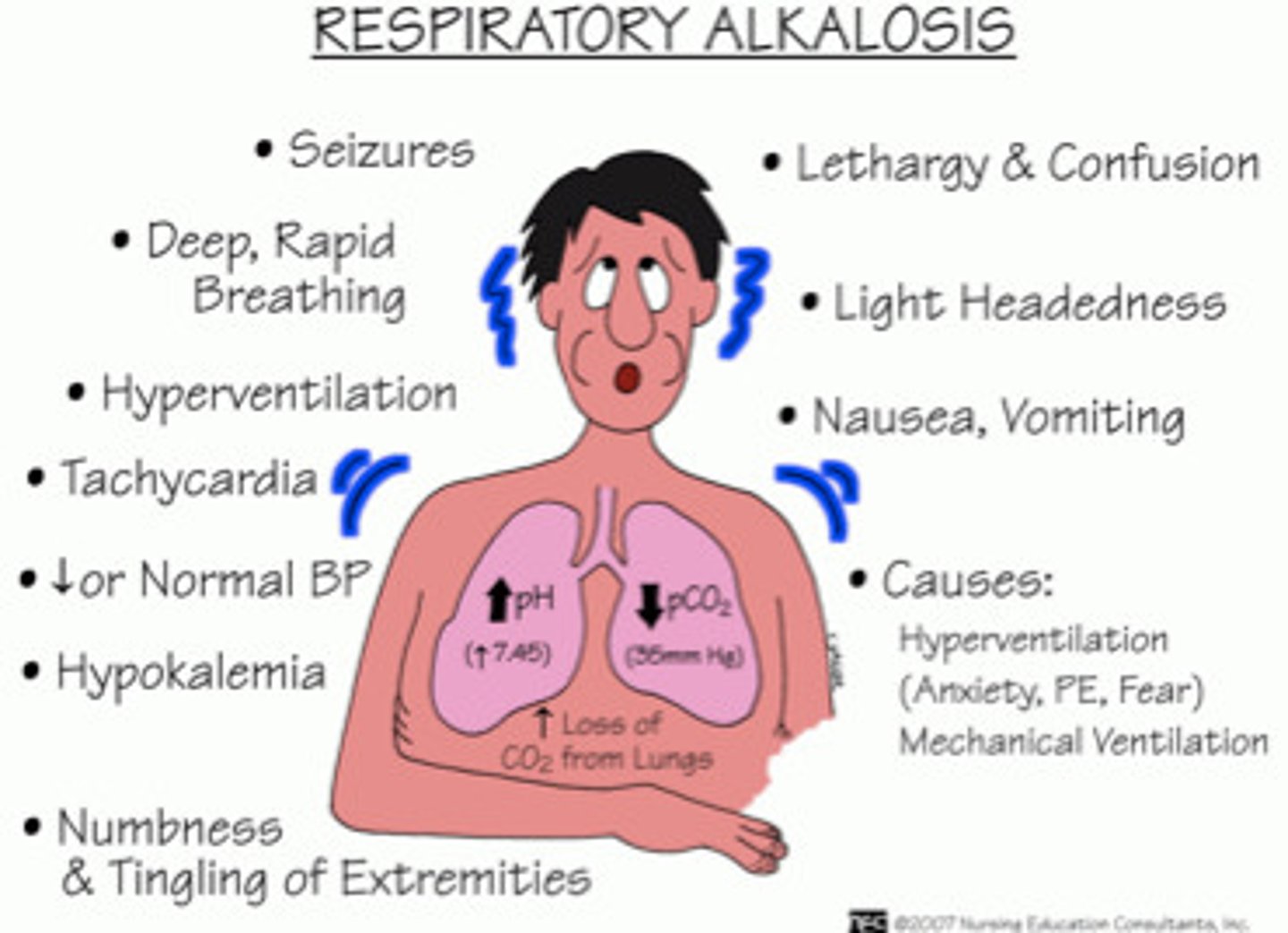 <p>- T: Raised temperature</p><p>- A: Aspirin toxicity</p><p>- C: Controlled mechanical breathing</p><p>- H: Hyperventilation</p><p>- Y: HYsteria (anxietY)</p><p>- P: Pain</p><p>- N: Neurological injuries</p><p>- E: Emboli &amp; edema (pulmonary)</p><p>- A: Asthma d/t hyperventilation</p>