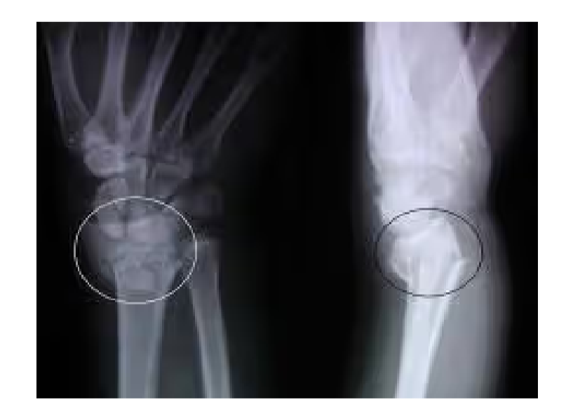 <p>What is this?</p>