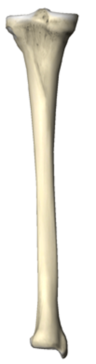 <p>right or left</p>