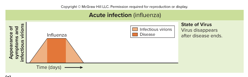 <ul><li><p><strong>Prodromal stage</strong></p><ul><li><p>Infected with virus, reproducing virus, capable of passing on the virus, but not experiencing symptoms, may feel a little off towards end</p></li></ul></li><li><p><strong>Disease stage</strong></p><ul><li><p>Suffering noticeable symptoms </p></li><li><p>Immune system is responding</p></li></ul></li><li><p><strong>Convalescent stage</strong></p><ul><li><p>Starting to fell better</p></li><li><p>Immune system is eliminating the virus</p></li><li><p>Still infectious </p></li></ul></li></ul><p></p>