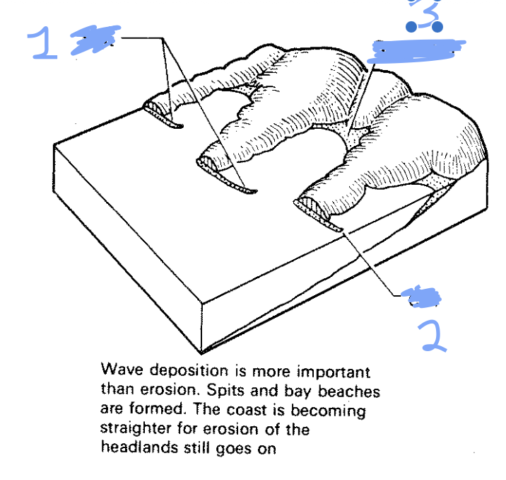 <p>What are features 1,2 and 3 (in that order)?</p>