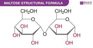 <p>Glucose + Glucose </p>