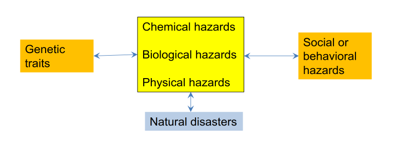 <p>Core hazards: </p><p>Chemical </p><p>Biological</p><p>Physical</p><p></p><p>Hazards that influence core hazards:</p><p>genetic traits</p><p>social/behavioural </p><p>natural disasters</p><p></p><p>Boundaries are not sharp</p>