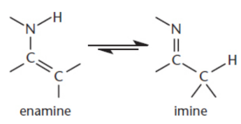 <p>tautomers of imines; interconvertible</p>