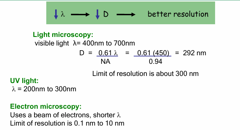 <ul><li><p>Light microscopy</p><ul><li><p>Wavelength: 450nm</p></li><li><p>Microscope objective NA = 0.94 </p><ul><li><p>(closer to 1 = good)&nbsp;</p></li></ul></li><li><p>D = 292nm&nbsp;</p><ul><li><p>Objects closer than this distance can’t be discerned&nbsp;</p></li></ul></li></ul></li><li><p>Bright field microscopy</p><ul><li><p>Resolving power of 0.2 um&nbsp;</p></li><li><p>Can magnify 1000x</p></li></ul></li><li><p>UV light source</p><ul><li><p><span>λ = 200 - 300nm</span></p></li><li><p><span>D will be smaller (better resolution)</span></p></li></ul></li><li><p>Electron Microscope</p><ul><li><p>D = 0.1 - 10nm</p></li></ul></li></ul><p></p>