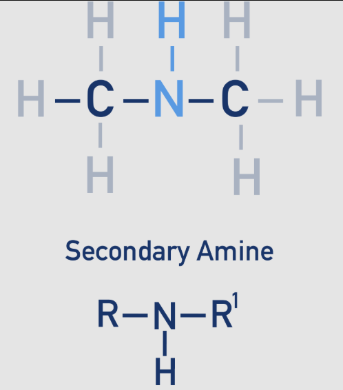 <p><span>The nitrogen atom is bonded to two alkyl groups (R and R') and one hydrogen atom.</span></p>