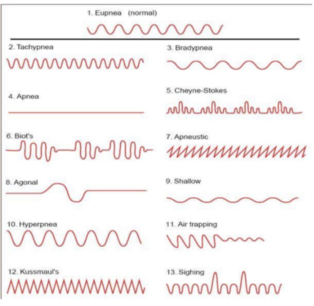 <p>- rate</p><p>- depth and pattern</p><p>- etiology of toxicity</p>