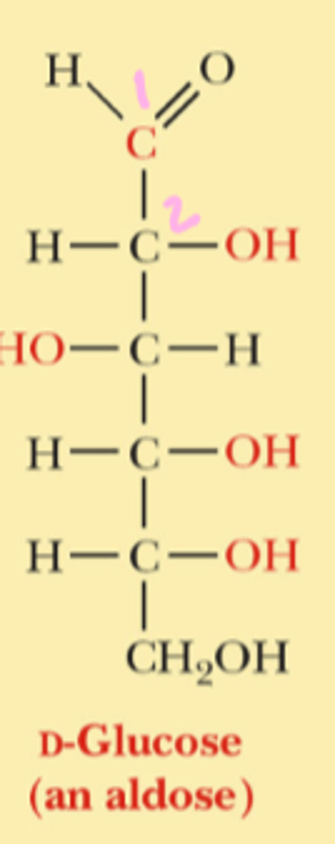 <p>the most oxidized carbon</p>