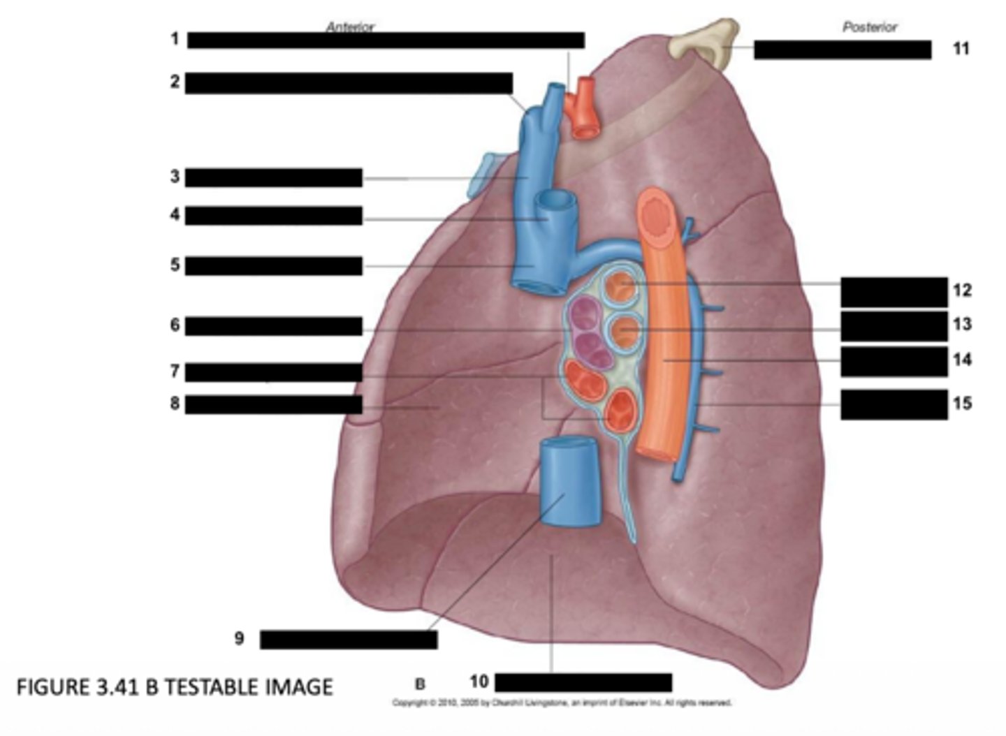 <p>7</p>