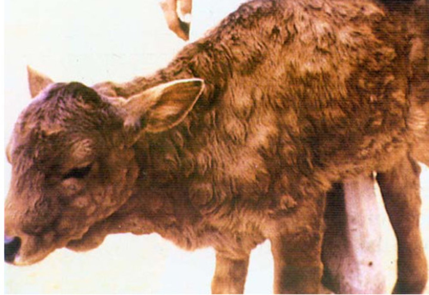 <p>What is this?</p>