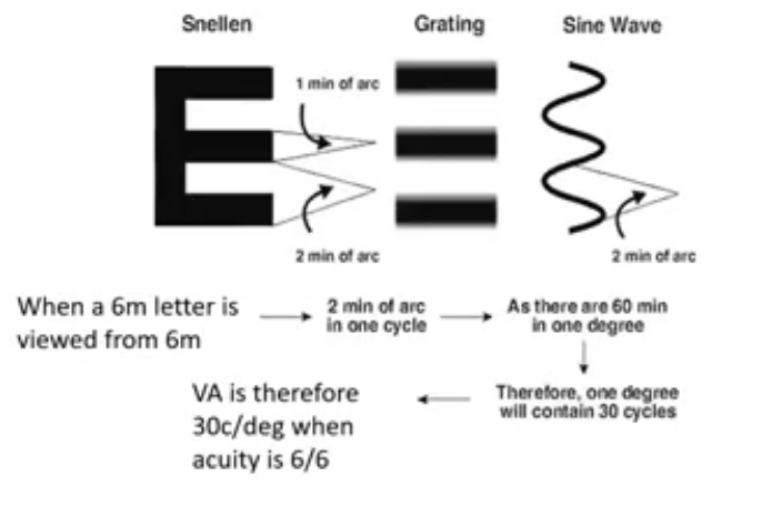 <p>use the letter E to demonstrate the snellen principle : the E looks like a grating </p><p>measure acuity by measuring the gratings </p><p>1 cycle is 2 minutes of arc → as there are 60 min in one degree </p><p>so one degree will contain 30 cycles </p><p>VA is therefore 30 cycles per degree when visual acuity is 6/6</p>