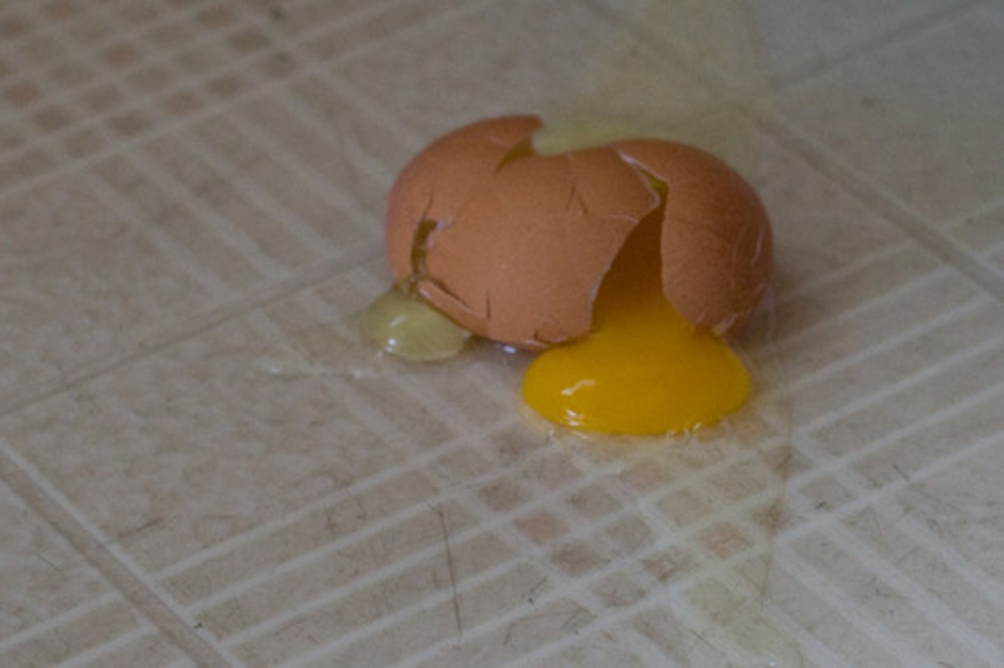 <p>broke, broken</p>