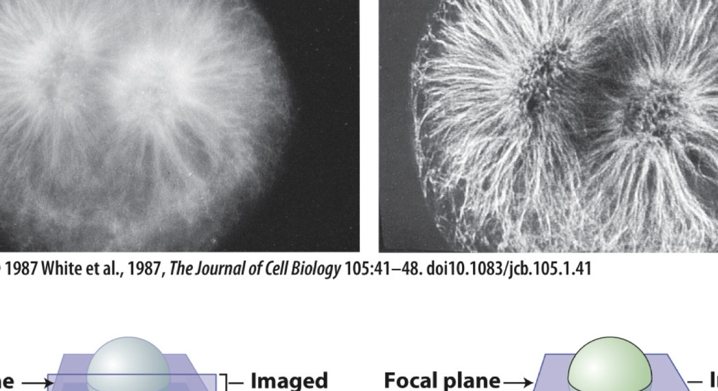 <p>increases resolution by filtering out focus light</p><p>capture thinner focal plane using a pin hole</p><p>allows a larger imaged volume</p>