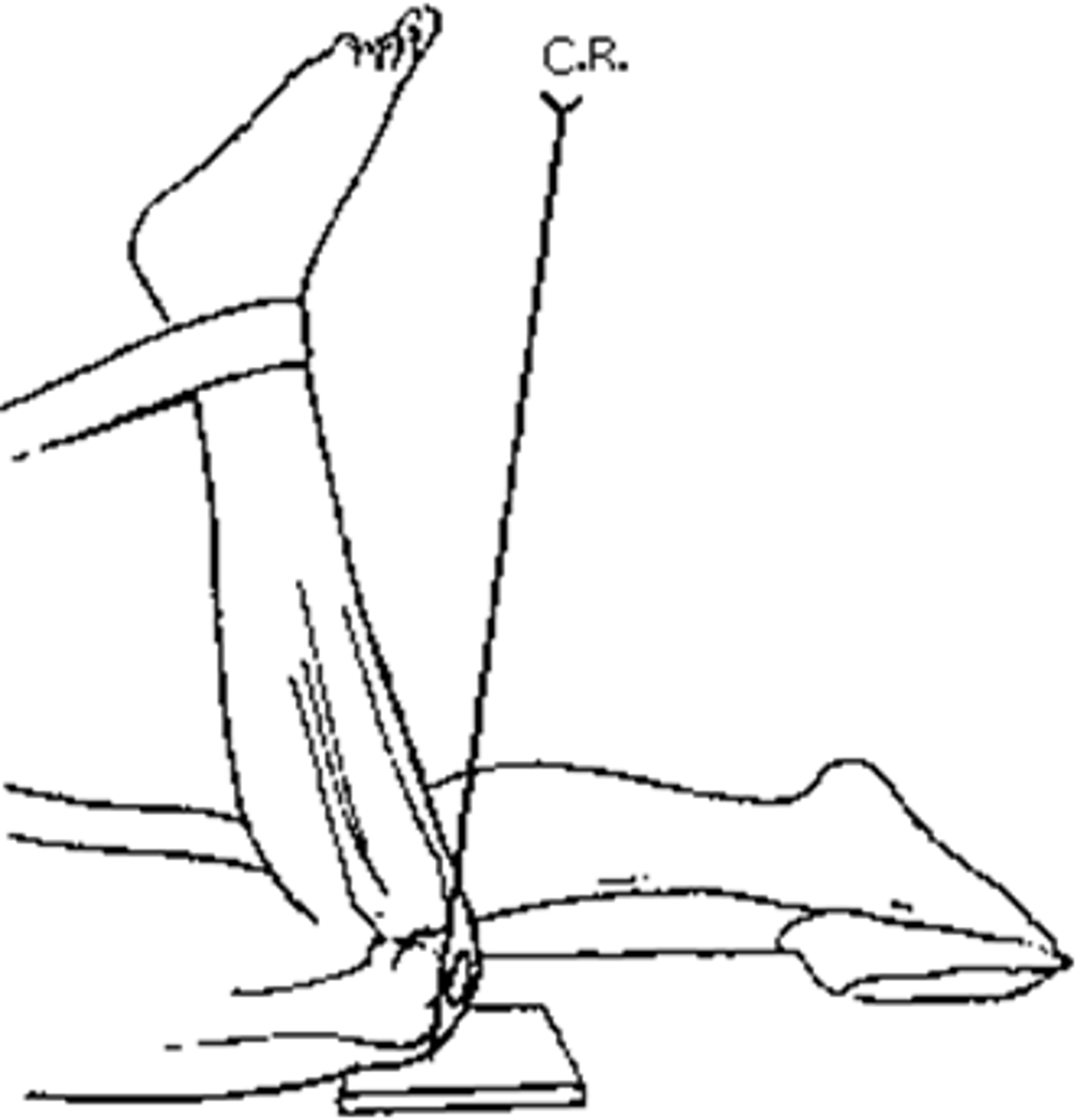 <p>settegast</p>