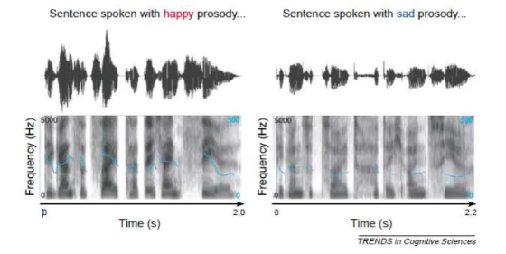 <ul><li><p>Prosody → rhythm, stress and intonation of speech</p></li><li><p>Conveyed as modulations in amplitude (loudness), timing (speech rate), fundamental frequency (pitch) and “voice quality” (smoothness).</p></li><li><p>Some emotions are believed to have a unique physiological imprint they are proposed to be expressed in a unique manner, e.g. happy (high F0 etc) vs sad (low F0 etc).</p></li><li><p>Changes in voice production are result of arousal mediated changes in heart rate, blood flow and muscle tension which all affect the shape, functionality and sound of the voice production system.</p></li><li><p>Babies can differentiate between voices before they can understand speech.</p></li><li><p>Children can produce the melody or intonation of speech before they can produce two-word combinations (also remember “hover the talking seal”).</p></li><li><p>We can understand cartoon characters even though they do not speak.</p></li><li><p>We can tell the emotional “status” of a speaker from their voice.</p></li><li><p>Hugely important for social interaction.</p></li><li><p>Understanding a vocal emotional message requires analysis and integration of various acoustic cues (e.g. pitch and rhythm).</p></li></ul><p></p>