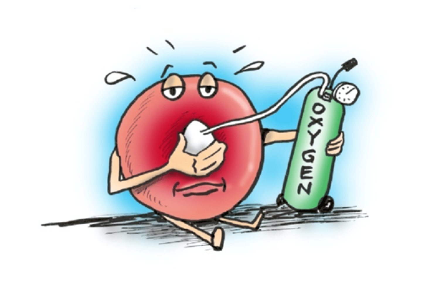 <p>-Glucose</p><p>-Oxygen</p><p>-Amino acids</p><p>-Hormones</p><p>-Mineral ions</p>