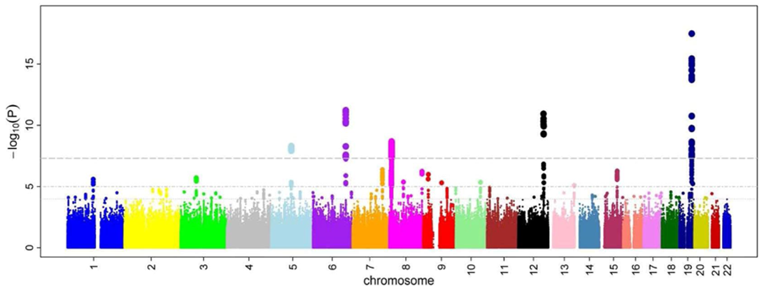 <p>What is this type of plot called </p>