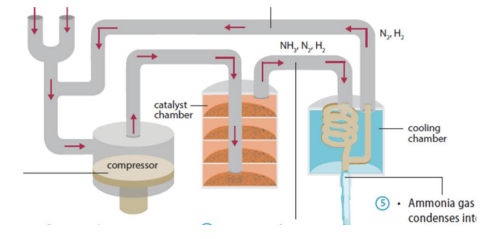 <ol><li><p>N2 and H2 are mixed in the ratio of 1:3 b volume</p></li><li><p>The gas mixture is compressed </p></li><li><p>Compressed gases flow over the catalyst and are heated</p></li><li><p>A mixture of NH3, N2 and H2 is obtained and cooled</p></li><li><p>NH3 condenses into a liquid pumped into tanks and stored under pressure</p></li><li><p>Unreacted N2 and H2 are transferred back into the converter to be recycled</p></li></ol><p></p>
