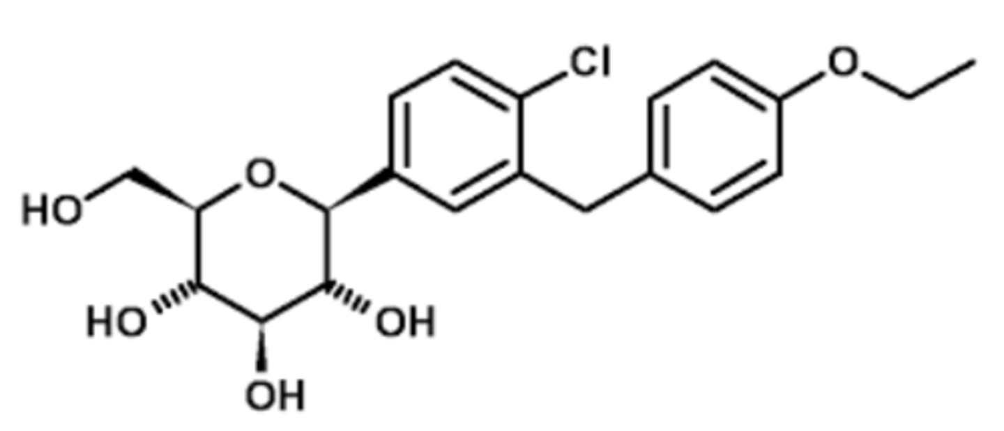 <p>SGLT2i</p>