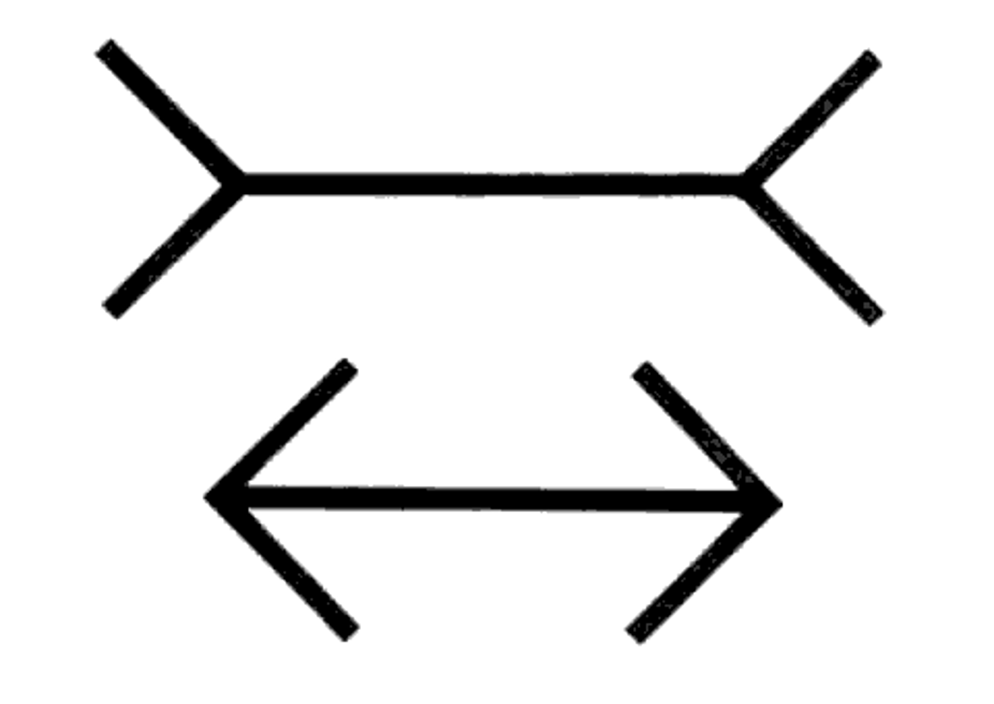 <p>Illusion of line length that is distorted by inward-turning or outward-turning corners on the ends of the lines, causing lines of equal length to appear to be different</p>