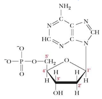 <p>Name that structure.</p>