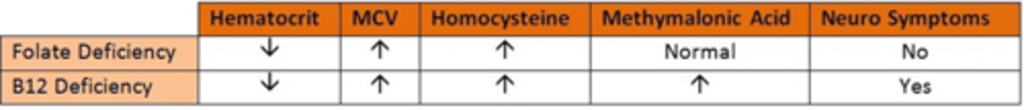 <p>Tests like antibodies against parietal cells and methylmalonic acid levels &amp; homocysteine levels.</p>