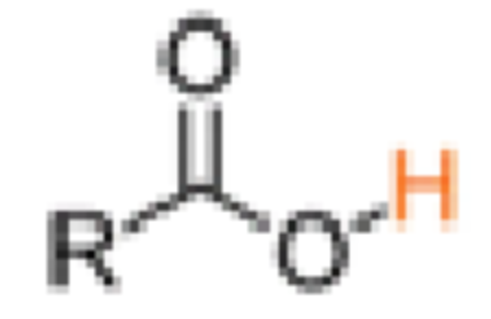 <p>Carboxylic Acids</p>