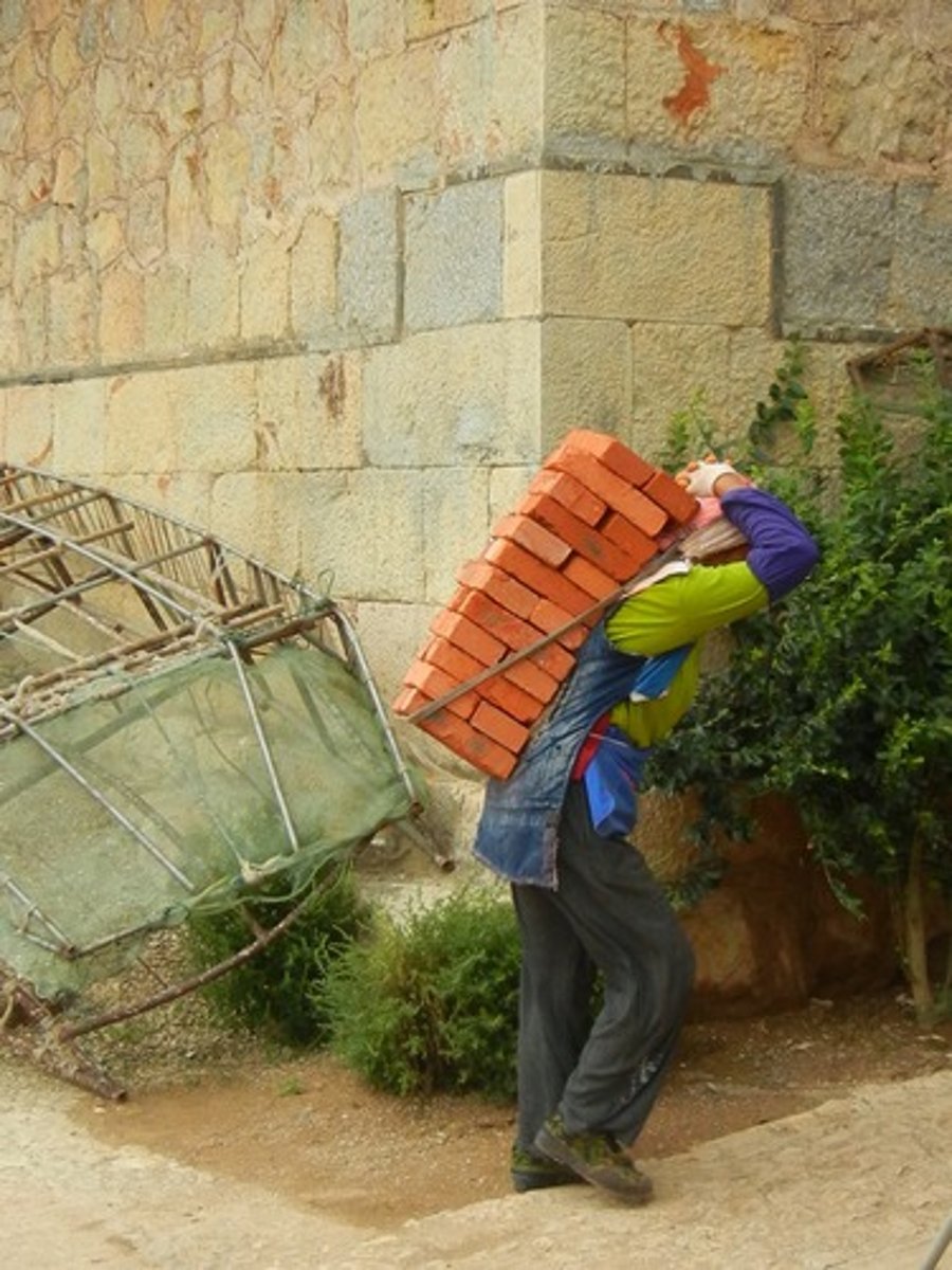 <p>llevas</p>