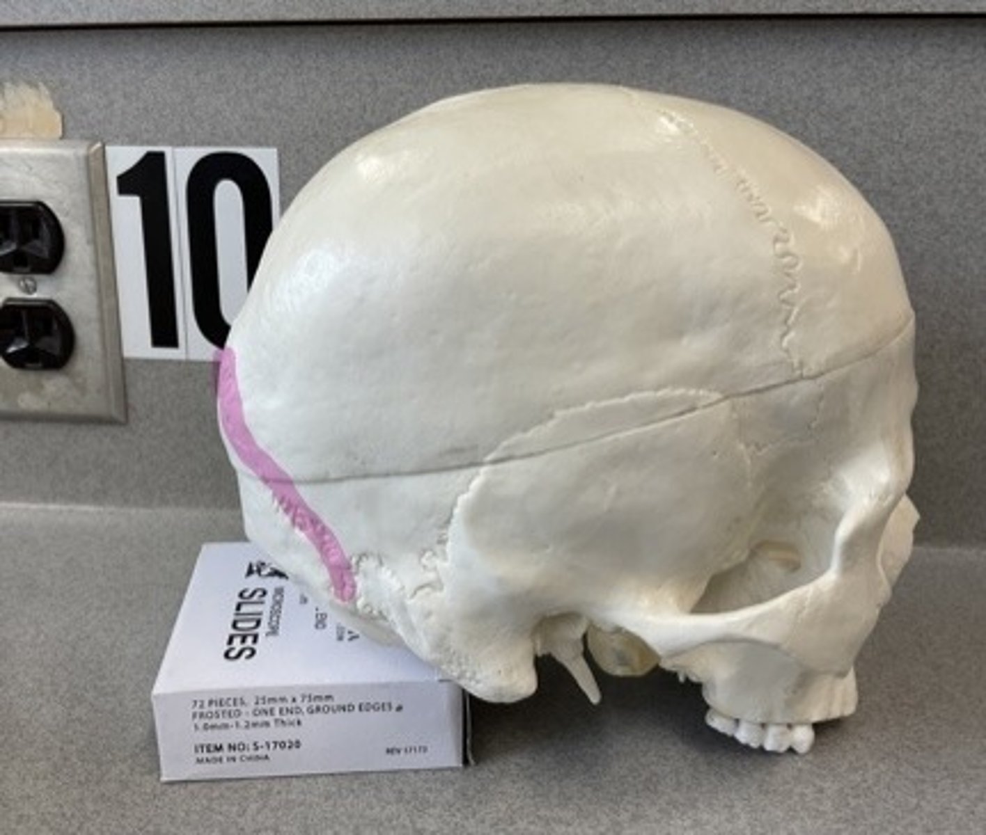 knowt flashcard image