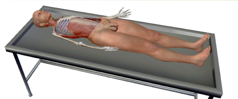 <p>what position is this?</p>