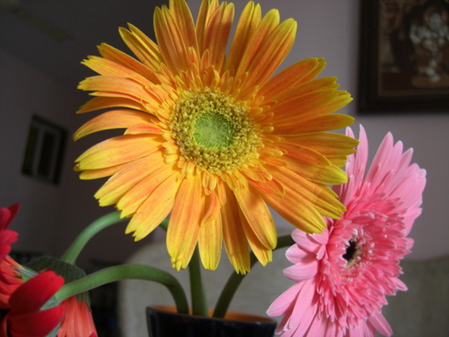 <p>flower (flowers)</p>