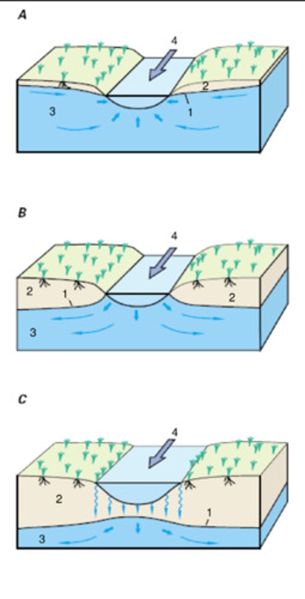 <p>- above local water table</p><p>- can create a recharge mound</p>