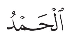 <p></p>