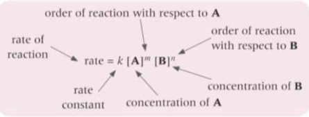 <p>The proportionality constant - the number that mathematically converts between the rate of reaction and the concentration and orders</p>