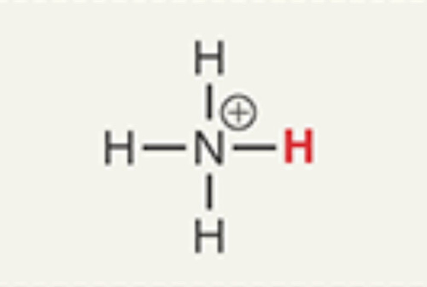 <p>Ammonium</p>