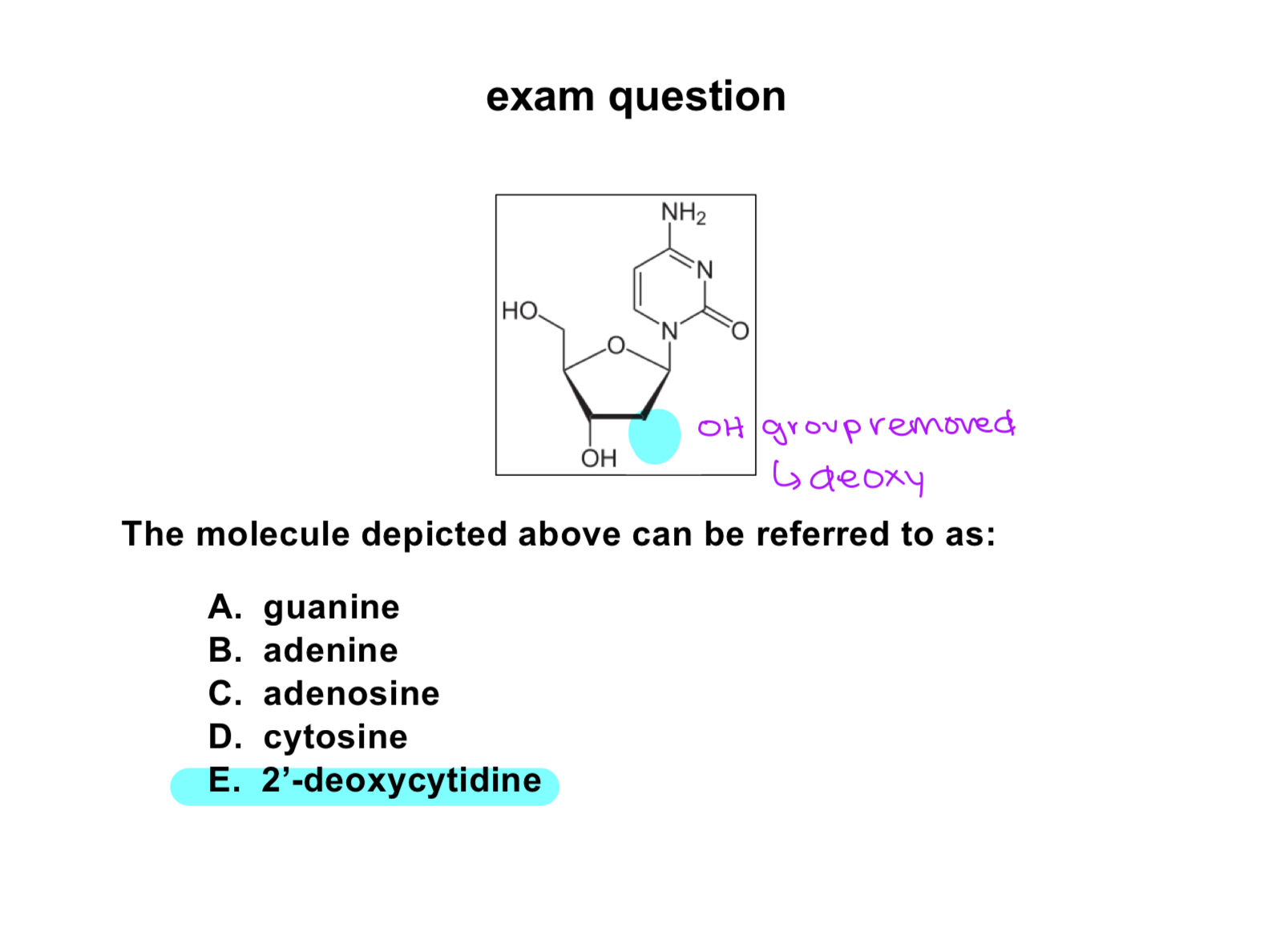 knowt flashcard image