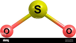 <p>sulfur dioxide</p>