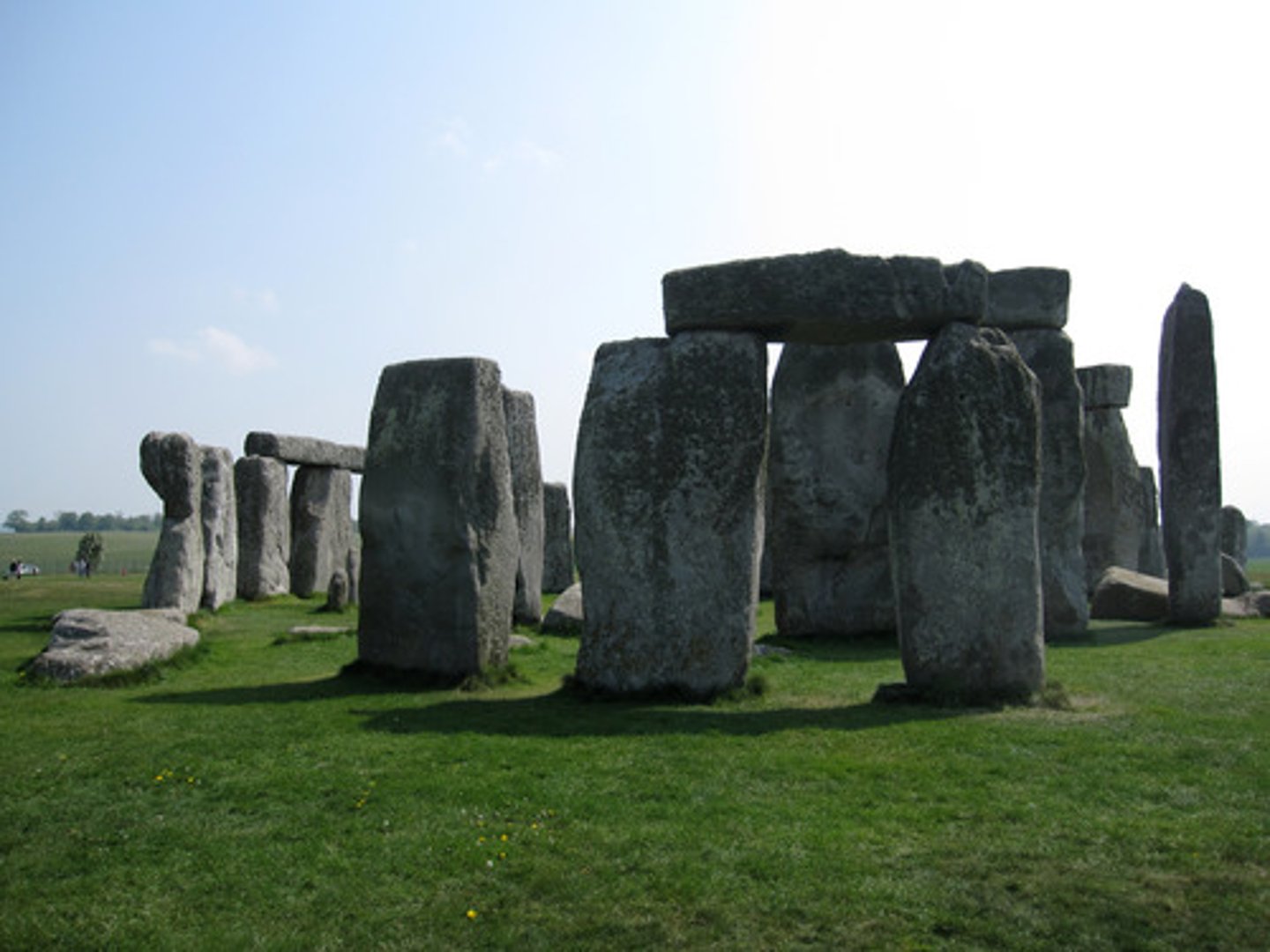 <p>A circle of stones</p>
