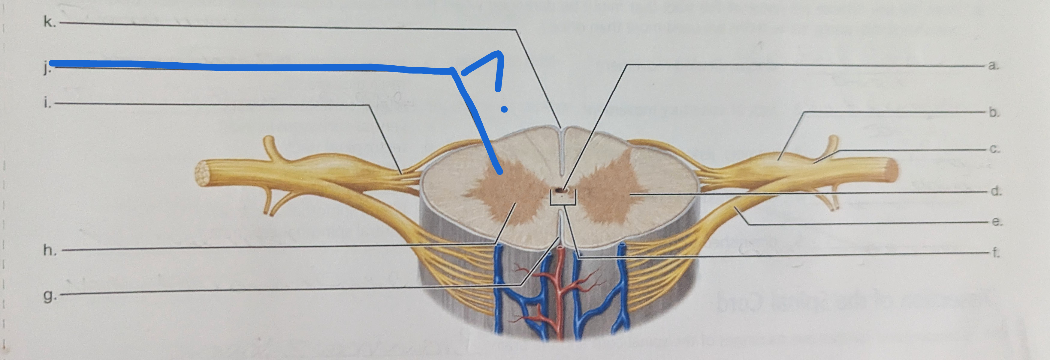 <p>What is the name of this?</p>