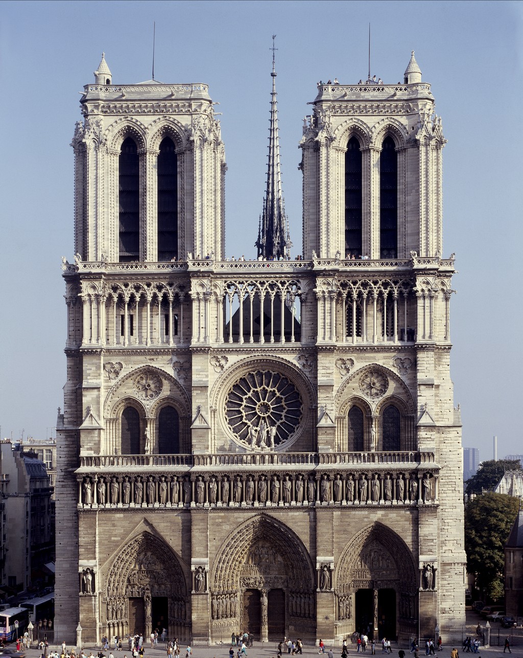 term image